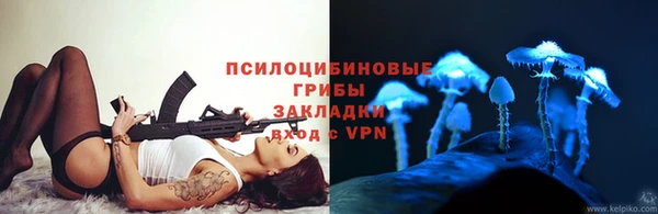 дурь Алексеевка