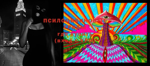 дурь Алексеевка