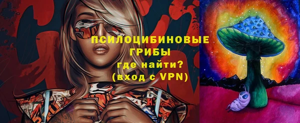 дурь Алексеевка