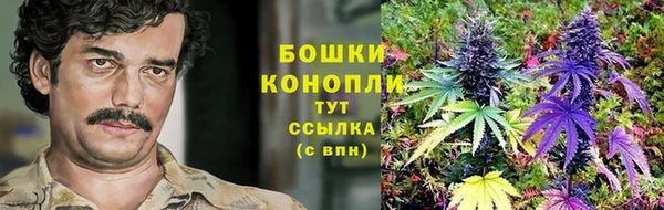 трава Алзамай