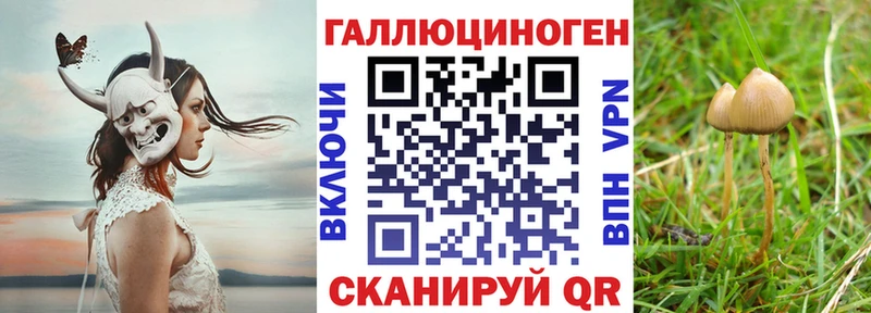 Псилоцибиновые грибы GOLDEN TEACHER  Протвино 